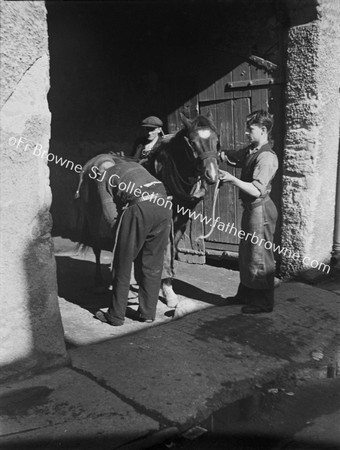 BLACKSMITH SHOEING HORSE